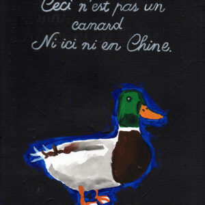 Canard