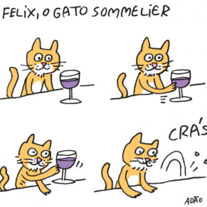 gato sommelier